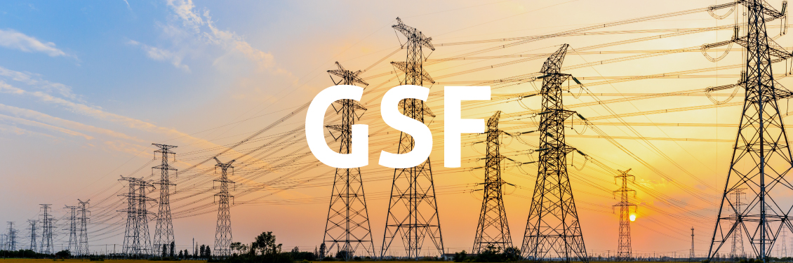 CCEE afirma que espera solução do GSF em junho